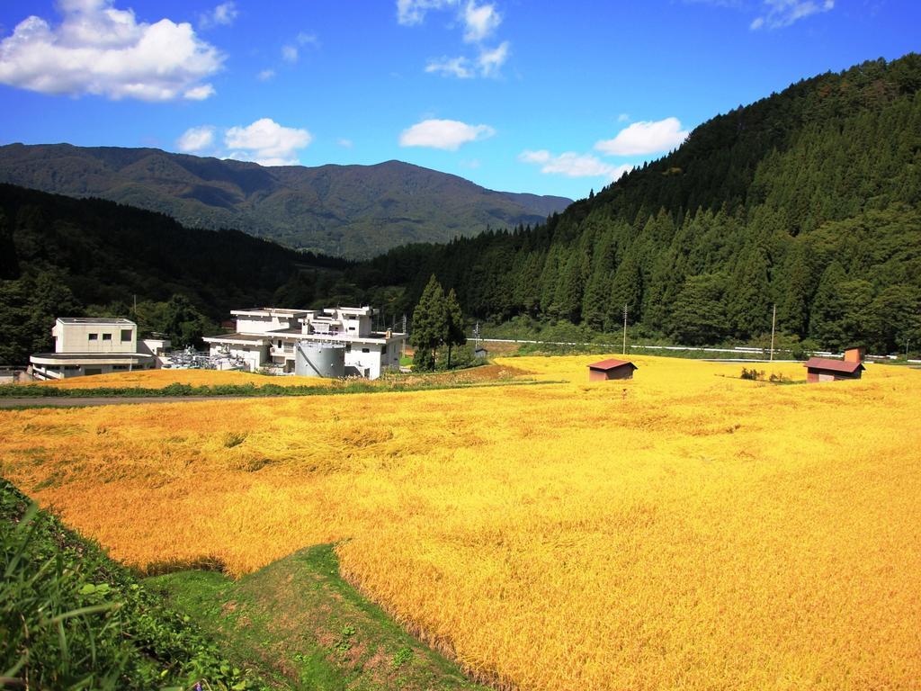 Chouchinya Hotell Nozawaonsen Exteriör bild